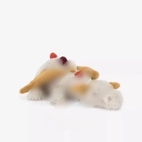Peluche en coton biologique Jelly Cats, Dragon du Ciel et Dragon des Neiges, poupée en peluche moelleuse, rembourrage en PP, coussin lesté doux