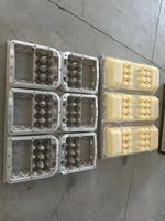 Moule en plastique pour barquette à œufs, moule ABS, moule en aluminium pour machine – Offre Spéciale