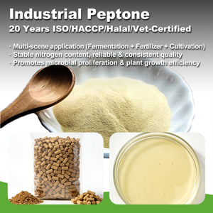 Bubuk Protein Peptida Kolagen Terhidrolisis - Kolagen Industri - Ramah <span class=keywords><strong>Paleo</strong></span> & Keto, Suplemen Asam Amino - Product Image 2