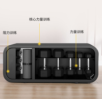 Bancs et supports de rangement réglables pour haltères, équipement de fitness multifonctionnel pour la musculation