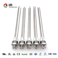 Sonda de Electrodo de Sensor de Nivel de Agua Aislada de Latón para Alta Temperatura Personalizable con Roscas M12-M18, Piezas de Caldera Personalizables LIFECN