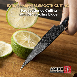 سكين متعدد الاستخدامات بمقبض من الخشب والراتنج، شفرة سوداء من فولاذ VG10 دمشقي، مضادة للالتصاق مثل طلاء DLC، مثالية لتقطيع العظام والأسماك والفواكه - Product Image 6