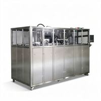 Machine de remplissage automatique de liquides Bag-in-Box à double tête en acier inoxydable 304 pour la production en usine, personnalisable OEM ODM