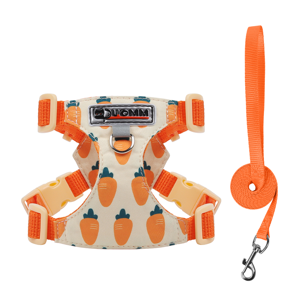 Carotte orange