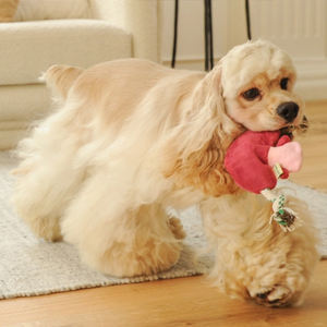 Stokta doldurma ücretsiz mantar köpek peluş oyuncak Squeaker doğal kenevir halat köpek yavru oyuncaklar küçük köpekler için - Product Image 3