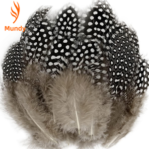 100 Plumas <span class=keywords><strong>de</strong></span> Gallina <span class=keywords><strong>de</strong></span> <span class=keywords><strong>Guinea</strong></span> Teñidas <span class=keywords><strong>de</strong></span> 1-3 Pulgadas, Coloridas, Personalizadas, <span class=keywords><strong>de</strong></span> Excelente Calidad y Precio Razonable, <span class=keywords><strong>de</strong></span> Feather Factory, en <span class=keywords><strong>Venta</strong></span> - Product Image 1