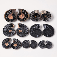 Vente en gros de cristaux naturels de bave de limace marine, cristaux de guérison, fossiles d'ammonites, décoration d'intérieur