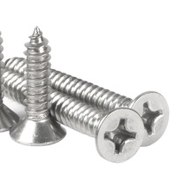 304/316/410 Vis autotaraudeuses à tête plate fraisée en acier inoxydable tornillos
