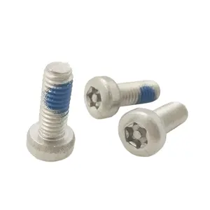 Custom Stainless Steel Torx Pin Fillister Head Nylon Patched Self Locking Security Screw Anti Theft Screws