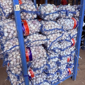 Ajo Fresco Sinofarm 2025, Semillas de Ajo de Nueva Cosecha para Plantar, 1KG 5KG, Alho Bawang Putih, Ajo Orgánico, Verdura Fresca, Cebolla, Ajo - Product Image 4