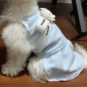 Gilet en coton design pour chats chiots chiens vêtements respirants confortables pour l'été style classique avec motif imprimé - Product Image 4