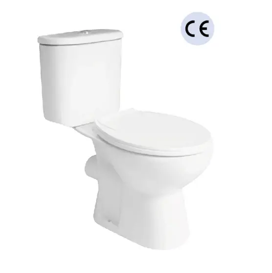 Produsen Cina Washdown Floorstanding 2 buah model toilet India