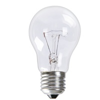 Ampoule incandescente normale Starlux Chiyoda 100w 60w A55 127V Bombillos Light