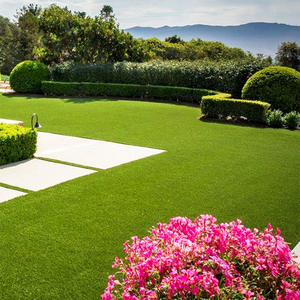 Meisen-Césped artificial ecológico de bajo <span class=keywords><strong>precio</strong></span>, 40mm, 48mm, <span class=keywords><strong>para</strong></span> entrenamiento de mascotas, jardín, terraza, paisaje verde - Product Image 5