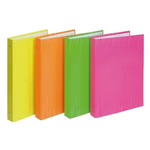 Raccoglitore 46460NEON colori fluorescenti personalizzabili per merchandising - Product Image 1