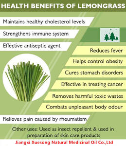 Factory Supply Bulk Aroma 100% Pure Natural Lemon Grass Extracts <strong>Lemongrass</strong> <strong>Essential</strong> <strong>Oil</strong> for Insect Repellant - Product Image 5