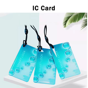 บัตรกุญแจอีพ็อกซี่ RFID แบบกำหนดเอง บัตร IC สมาร์ทการ์ดแบบพกพา กันน้ำ ชิป Fudan M1 แท็กควบคุมการเข้าออกแบบไร้สัมผัส - Product Image 6