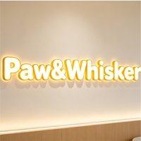 Lettres lumineuses 3D LED personnalisées en acrylique, éclairées par l'avant, pour enseignes de bureau, magasins, publicité, IP65