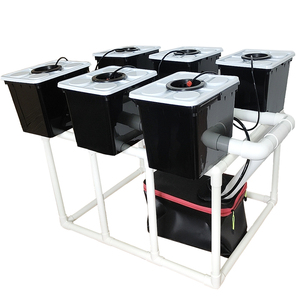 Sistema de cubo holandés o Bato con 6 cubos de maceta Soportes Bomba de tanque de <span class=keywords><strong>riego</strong></span> por goteo <span class=keywords><strong>Material</strong></span> PP para tomates Fresas - Product Image 1