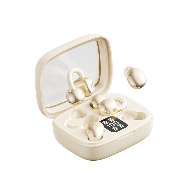 Popular Innovative 2 in 1 TWS BT Earbuds 2 Styles 2 Pairs in 1 Box BT 6.0 Touch Control Type C Charging Wireless Earphone