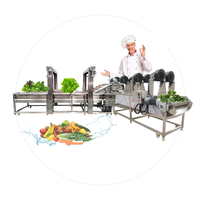 Industriële avocado-, sinaasappel-, mango-, citrusvruchten- en groentewas-, was-, polijst-, sorteer-, en sorteermachine verwerkingslijn