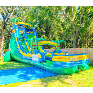 Obstáculo de rebote en seco Bouncer y tobogán inflable Super High Ch Unisex 1 pieza Castle Logo Free Strong PVC 5-7 días de trabajo - Product Image 2