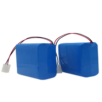 7,4V 21700 Akkupack 15Ah Haushalts-Lithium-Ionen-Akkupack für Mechanischen Roboterhund