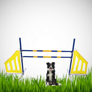 อุปกรณ์ฝึกสุนัข USMILEPET รุ่นขายดี รั้วเหล็กสำหรับฝึกความคล่องตัว ปีกกระโดดสำหรับสุนัข - Product Image 4