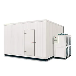 Seafood Cabinet Chiller Refrigeration Equipment And Freezer Instant Fast Fish IQF Quick Freezing Freezer Machine