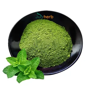 Julyherb prezzo di fabbrica foglia di menta in polvere estratto di foglie di menta piperita estratto di menta piperita