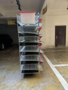 Achetez des cages à cailles en acier <span class=keywords><strong>de</strong></span> qualité supérieure pour un usage domestique - Product Image 4