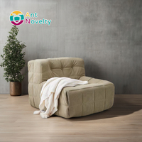 AntNovelty Chaise de salon décorative, chaise longue créative Chaise canapé moderne et moderne à siège unique