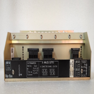 Módulo de Salida Analógica Plc Rao-08xe 333505 / K-chief 500 con Garantía - Product Image 1
