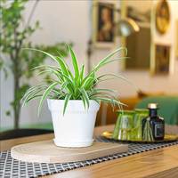 18pcs Satu Set Pot Tanam Mini 4 Inch dengan Baki Penyiram Otomatis untuk Tanaman Indoor Outdoor, Pot Tanam Kecil Penyiram Otomatis