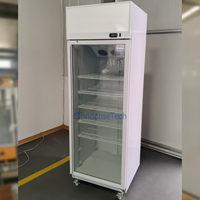 Congélateur vertical à refroidissement par air, ventilé, avec contrôle numérique de la température, pour bar à jus