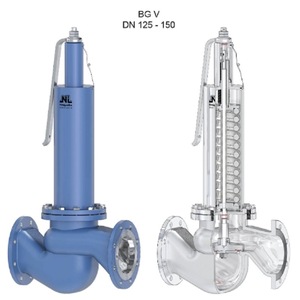 Safety Valves G 1/2 3/<b>8</b> Cast <b>Iron</b> Regulating Type For Industrial Use - Product Image 5