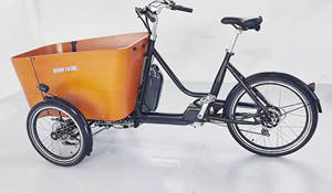 TD-S4 balançoire dispositif d'équilibre électrique alimentaire <span class=keywords><strong>vélo</strong></span> capteur de couple cargo tricycle cargo <span class=keywords><strong>vélo</strong></span> courroie d'entraînement cargo <span class=keywords><strong>vélo</strong></span> néerlandais gravelbik - Product Image 4