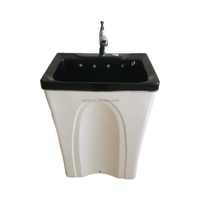 Équipement vétérinaire OSCAT EW028 Baignoire électrique en acrylique pour chien Baignoire de source chaude avec thérapie à l'ozone pour le toilettage des animaux de compagnie