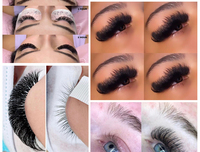 Extensions de cils en soie volume, cachemire, vison velours mat foncé, 03 05 07, 8-25mm, en plateau, marque privée, vente en gros, fourniture