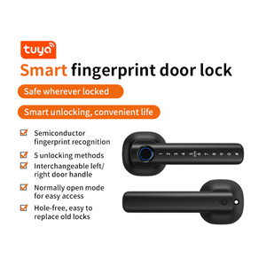 Bàn Phím Kỹ Thuật Số Cửa Gỗ Căn Hộ Trong Nhà Vân Tay Sinh Trắc Học Xi Lanh Nhôm Mật Khẩu Điện Tử Xử Lý Khóa - Product Image 4