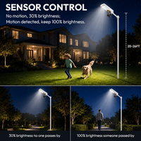 Lampadaire Solaire Tout-en-un de Style Populaire avec Détecteur de Mouvement Radar 300W 500W 800W IP65 Haute Qualité et Éclairage à 360° °   Caméra PTZ