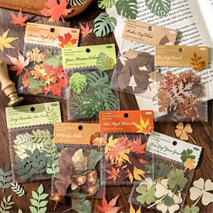30 pcs/pack Material Pack Leaf Pick up Collection Series Hollow Out the Leaf Handbook DIY Material Decorative Bottoming - Product Image 3