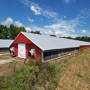 Kanatlı çiftlik iç<span class=keywords><strong>in</strong></span> otomatik katman tavuk kafesi ev, sıcak daldırma galvanizli, özel boyut mevcut, hızlı kargo - Product Image 1