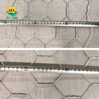 Gabions hexagonaux en fil de fer galvanisé, revêtement PVC, 2x1x1m, pour contrôle des inondations et aménagement de talus, stock disponible, travaux d'ingénierie civile