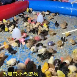 Canne à pêche magnétique pour enfants, ensemble de jeu pour étang à poulets, jouet d'activités pour jeux en plein air - Product Image 2