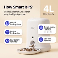 Distributeur intelligent de nourriture pour animaux de compagnie WiFi 4L avec application, alimentation programmée à distance, caméra 1080P, plateau en acier inoxydable anti-blocage, triple compartiment pour chats et petits chiens