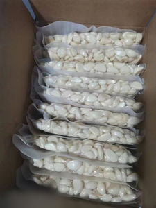 กระเทียมสดปอกเปลือก บรรจุสุญญากาศ คุณภาพสูง ปรับแต่งได้ - Product Image 5