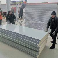 Panel SIP Fenólico Aislado Estructuralmente, Panel de Pared Energéticamente Eficiente para la Construcción de Casas Prefabricadas