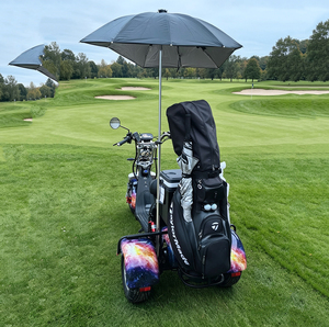 2026 Tricycle Électrique de Golf 3 Roues 2000W 3000W 60V pour un Plaisir Absolu, Scooter de Golf, Trottinette, Vélo Électrique, Citycoco - Product Image 4