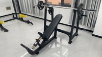 Banc de musculation (LUXURY) pour usage commercial en salle de sport, vente en gros directe d'usine
